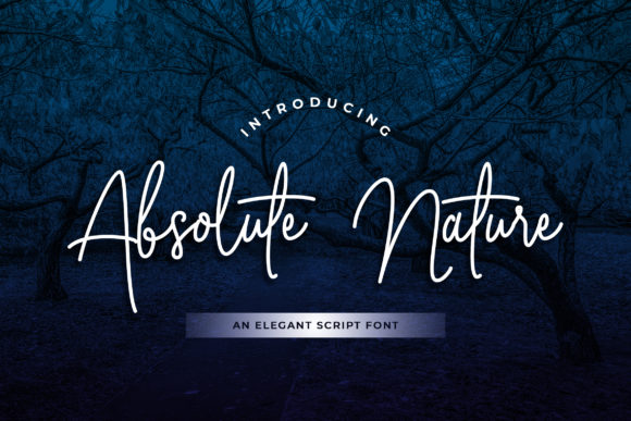 Absolute Nature Font for Marketing