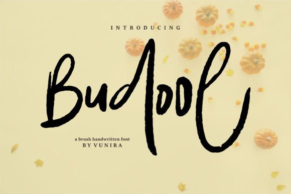 Budool: A Handwritten Font for Business
