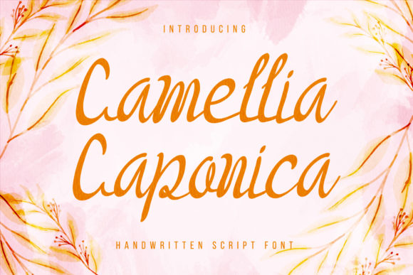 Camellia Caponica: A Sweet Script for Branding
