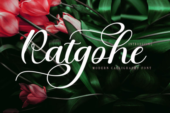 Ratgohe: A Whimsical Script Font